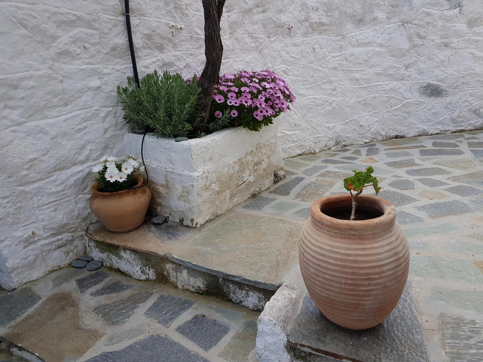Lovely Traditionnal House With Sea View Tirós Exterior foto